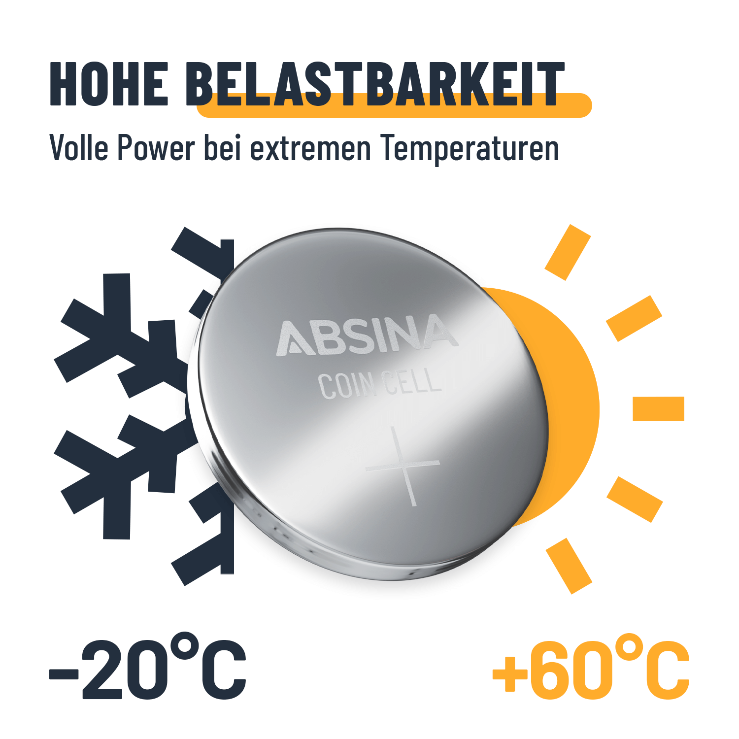 Knopfzellenset 24-teilig