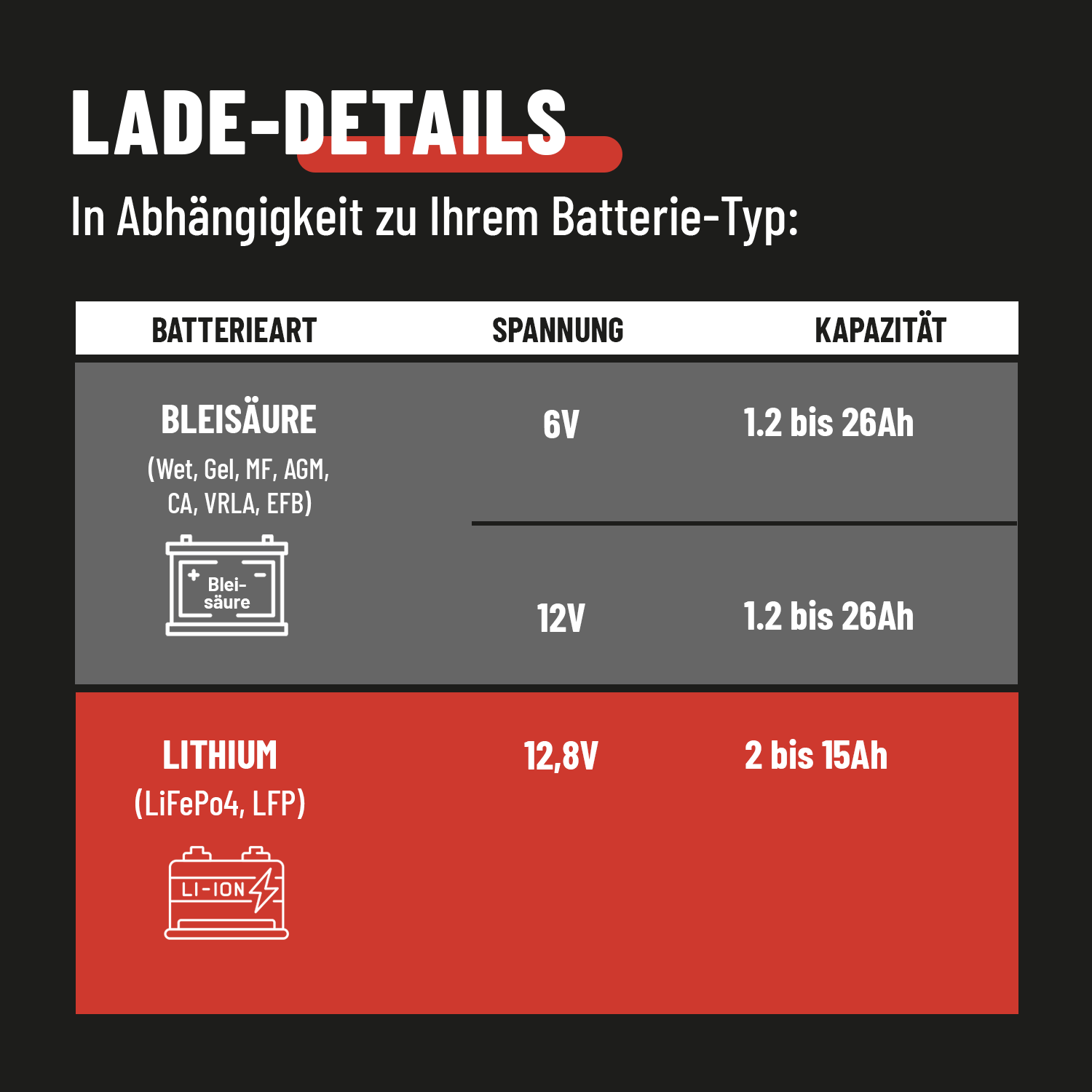 Lithium und Blei Batterie Ladegerät Ladedetails 301006-2