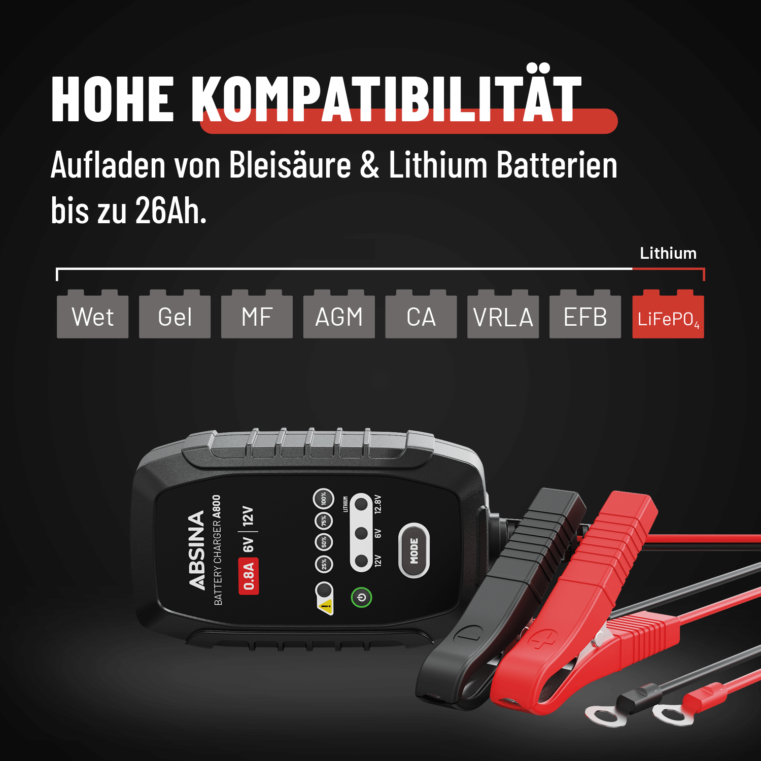 AGM Ladegerät 6V und 12V 301006-1