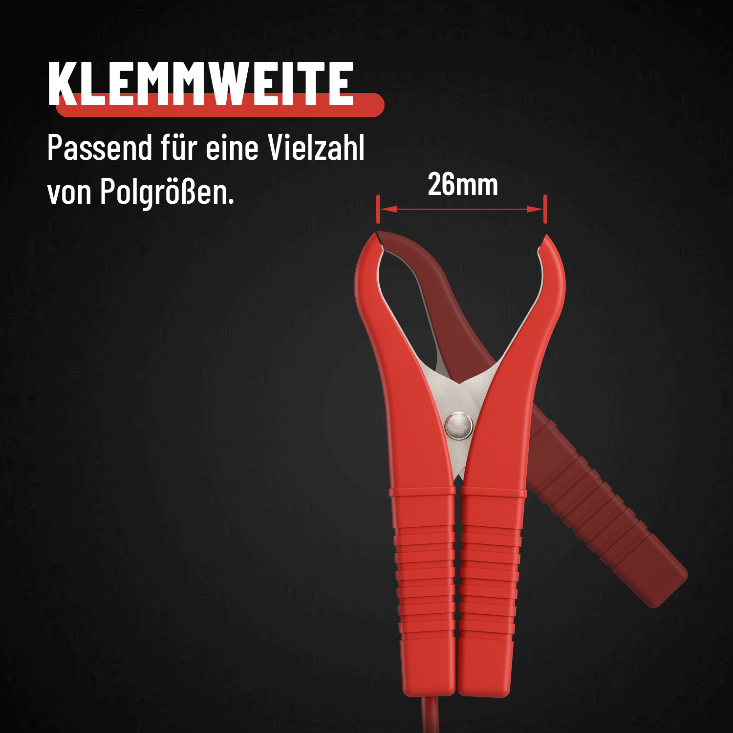 Batterieladegerät 12V Klemmenweite 301007-5