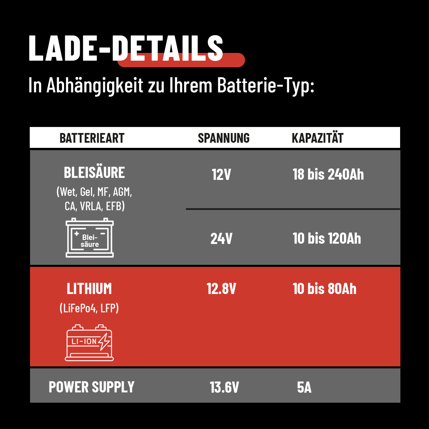 Lithium und Blei Batterie Ladegerät Ladedetails 301015-1